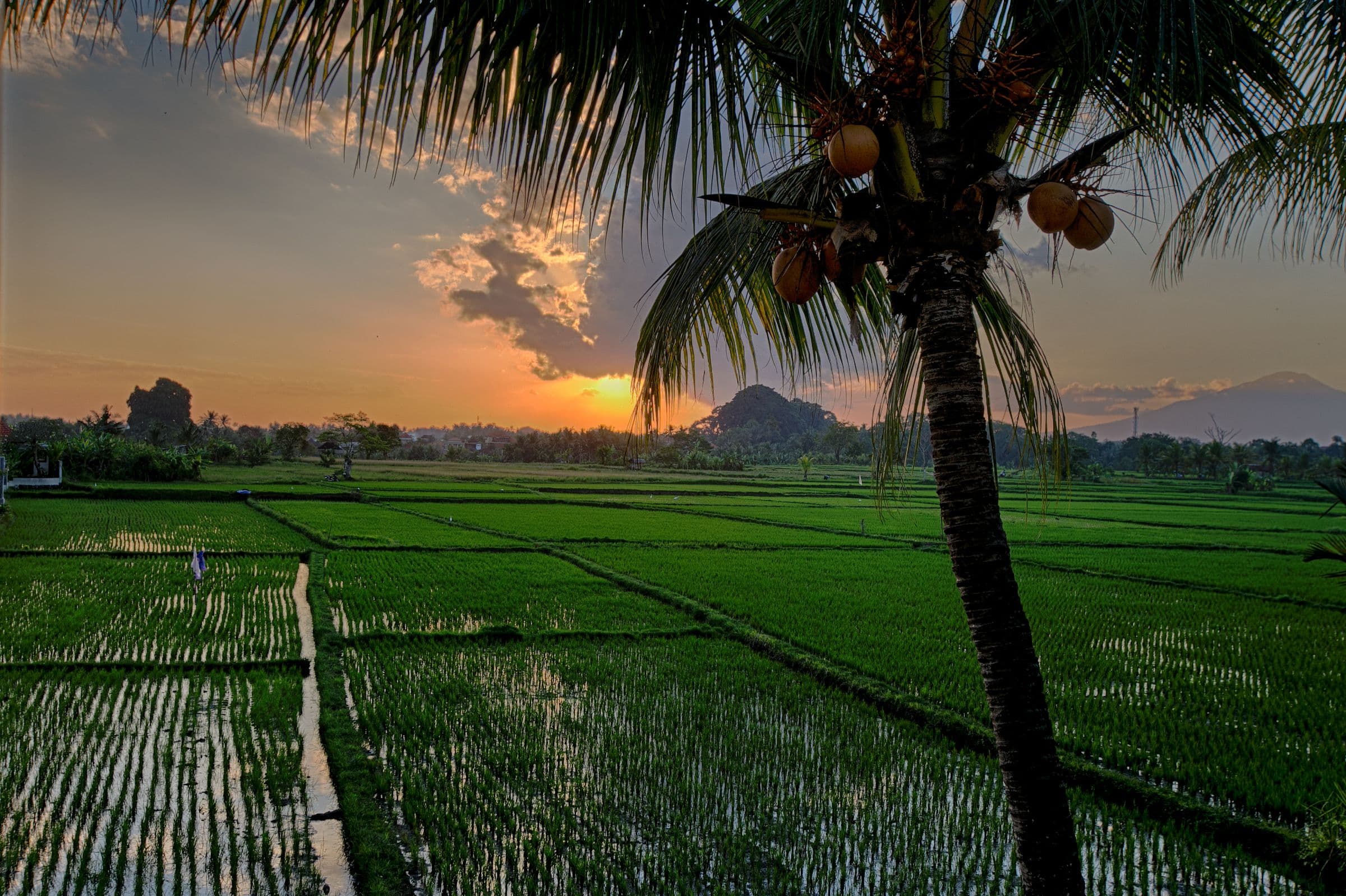 When to Book Your Bali Villa: Timing, Peak Season and Avoiding the Price Squeeze